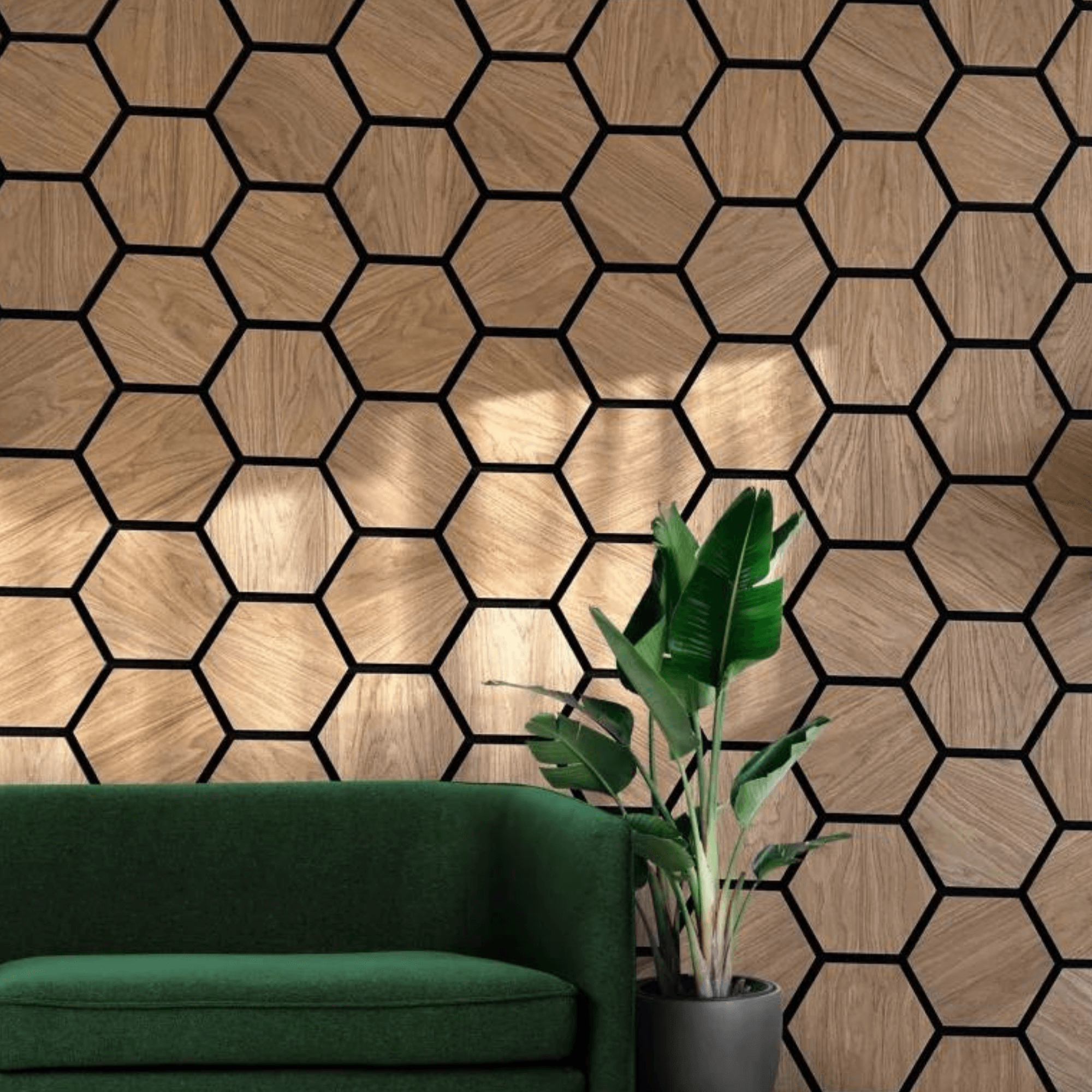HexaMur Acoustique